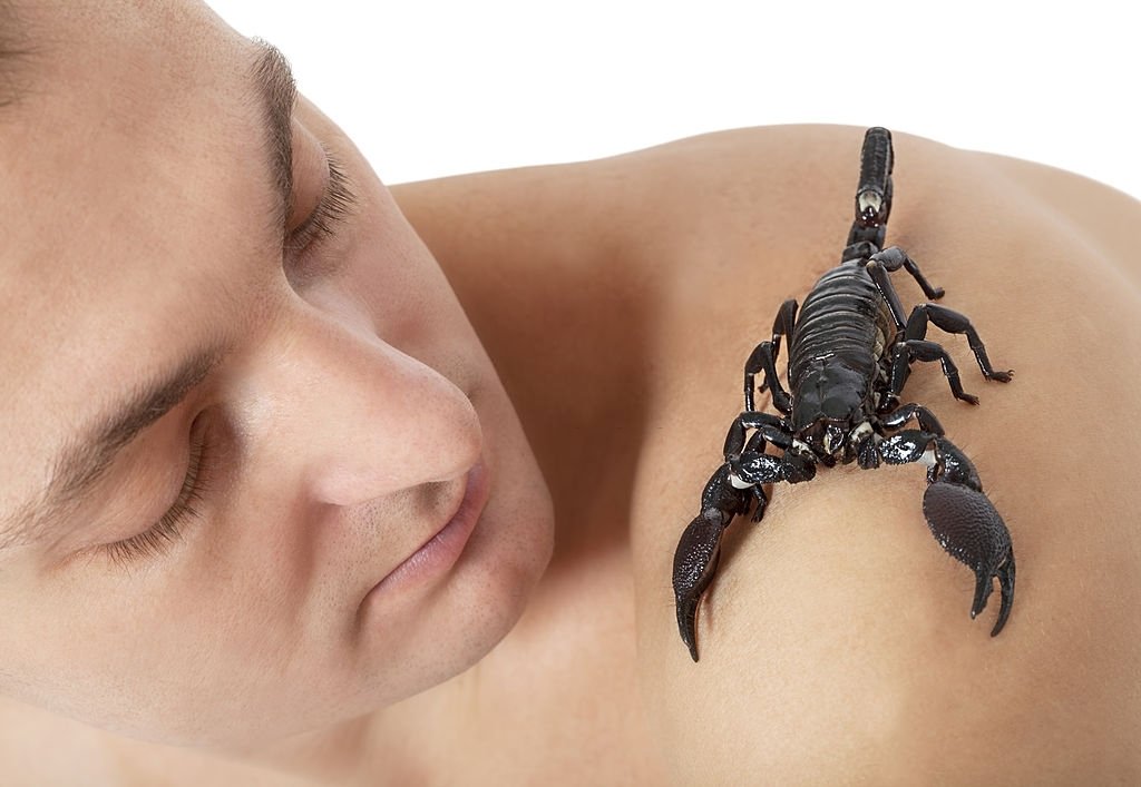 Black Scorpion on Body