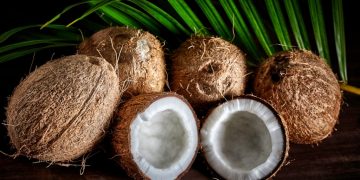 Coconut – Dream Meaning and Symbolism 57