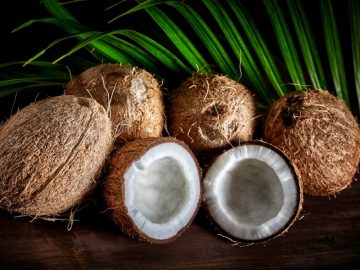 Coconut – Dream Meaning and Symbolism 12