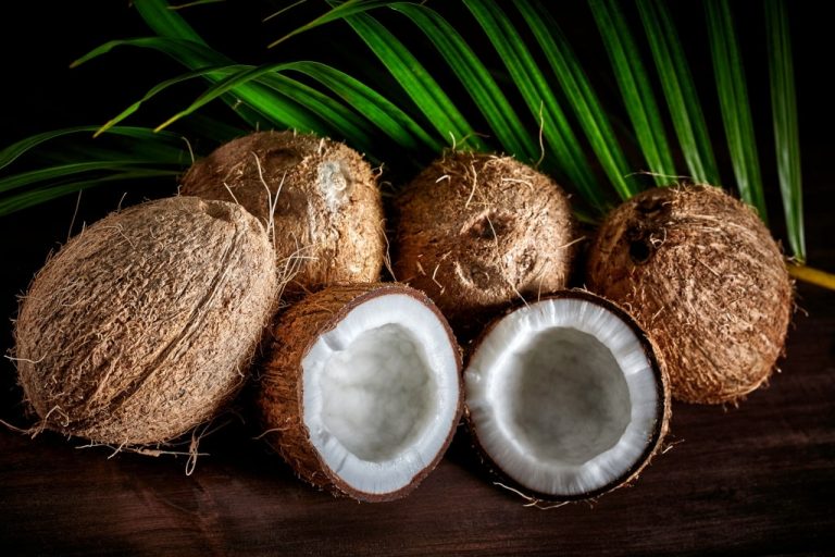 Coconut – Dream Meaning and Symbolism 1
