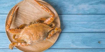 Crab – Dream Meaning and Symbolism 102