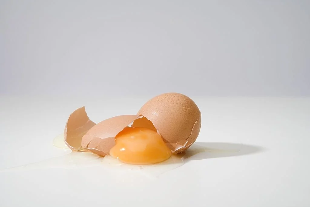 See A Broken Egg