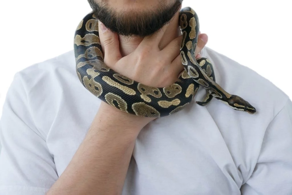 snake in neck