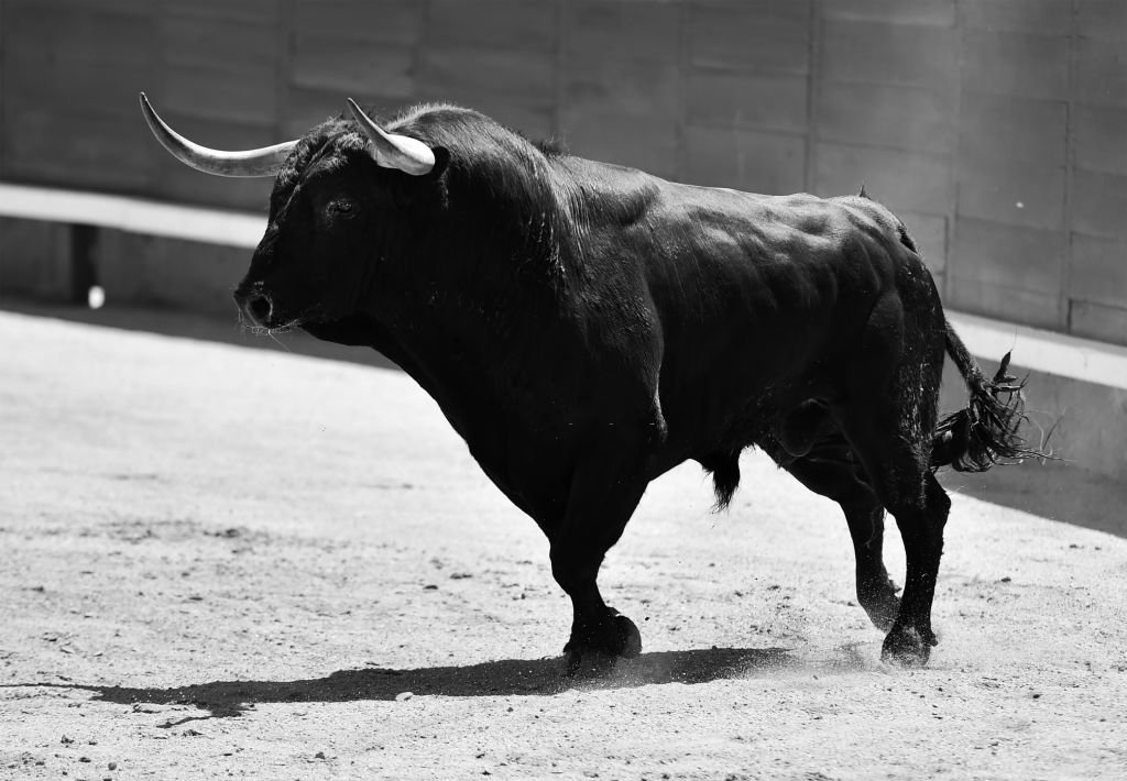 Bull – Droom Betekenis En Symboliek 5