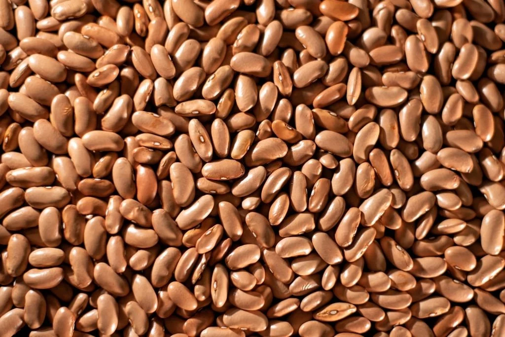 Brown Beans