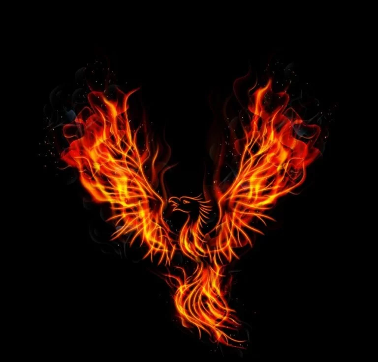 Phoenix – Dream Meaning and Symbolism 1