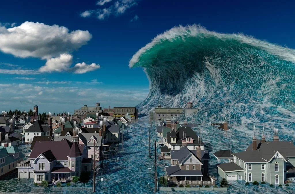Tsunami By Day