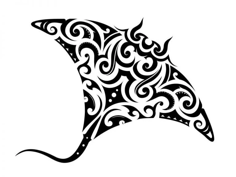 Arraia Maori – Dream Meaning and Symbolism 1
